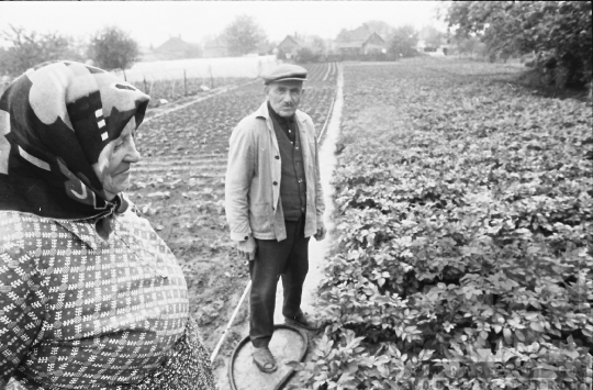 THM-BJ-09038 - Tengelici idős házaspár háztáji gazdasága az 1980-as években 