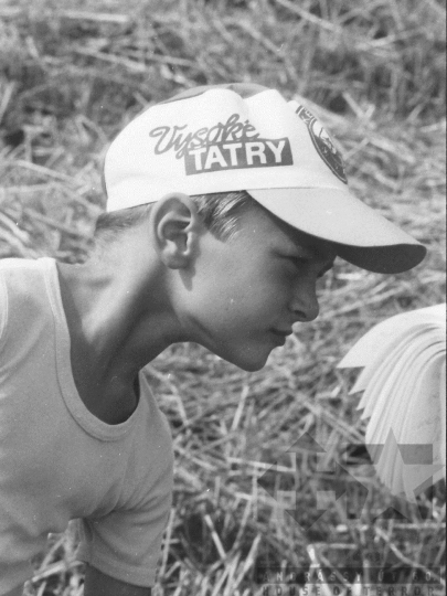 THM-BJ-09052 - Dinnyeszüret a bátai termelőszövetkezet földjén az 1980-as években 