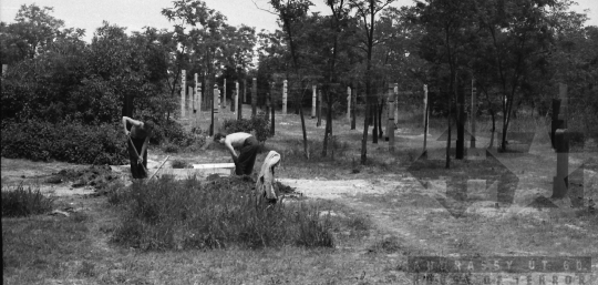 THM-BJ-09415 - Nagy Imre és társai újratemetése Budapesten 1989-ben 