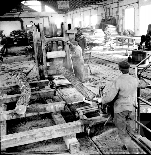 THM-BJ-09507 - Fűrészüzem Dombóváron az 1960-as években