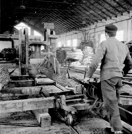 THM-BJ-09509 - Fűrészüzem Dombóváron az 1960-as években