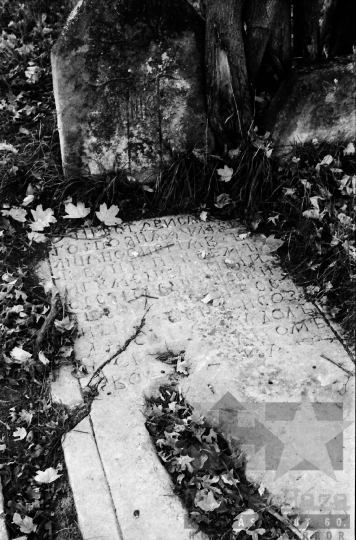 THM-BJ-09518 - Grábóci szociális otthon temetője az 1980-as években