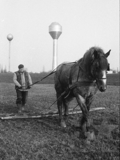 THM-BJ-09537 - Mezőgazdasági munka Szekszárdon az 1980-as években 