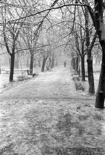 THM-BJ-09851 - Szekszárdi Prométheusz park télen az 1960-as években