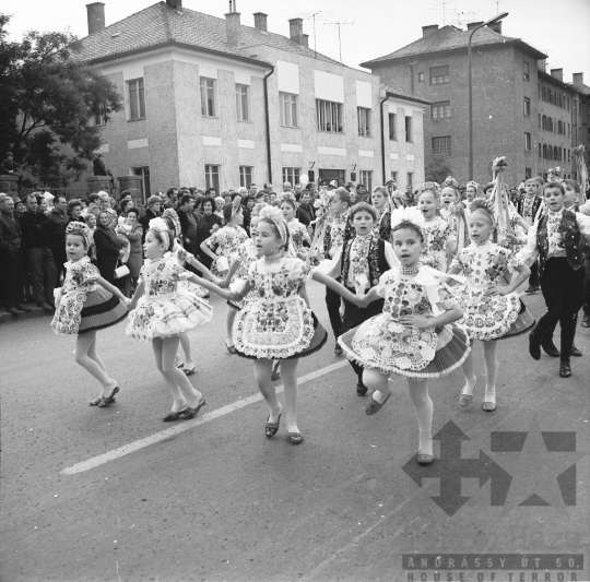 THM-BJ-09921 - Szüreti felvonulás Szekszárdon az 1970-es években