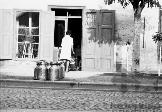 THM-BJ-10001 - Tejbolt Szekszárdon az 1960-as években