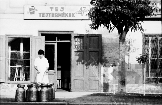 THM-BJ-10002 - Tejbolt Szekszárdon az 1960-as években