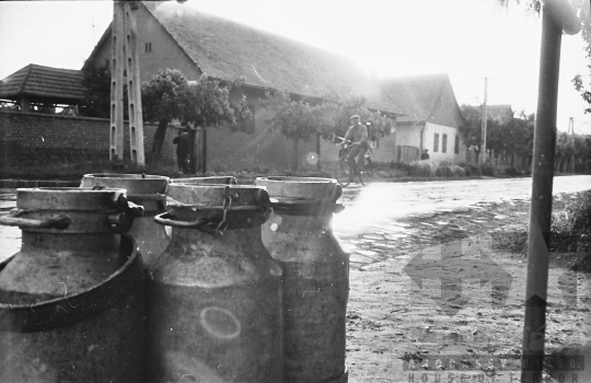 THM-BJ-10005 - Tejbolt Szekszárdon az 1960-as években