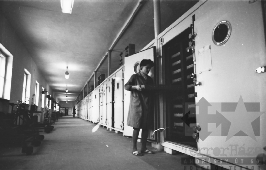 THM-BJ-10090 - Hőgyészi baromfikeltető állomás 1980-as években 