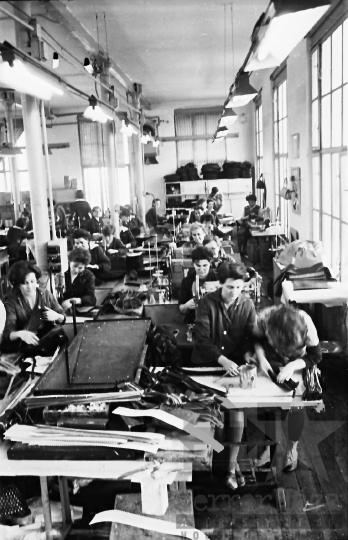 THM-BJ-10166 - Rákospalotai Bőr- és Műanyagfeldolgozó Vállalat szekszárdi üzeme az 1960-as években