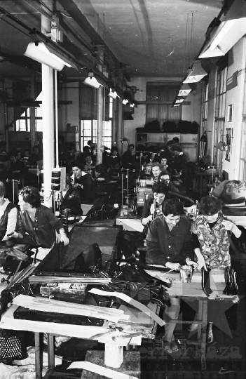 THM-BJ-10167 - Rákospalotai Bőr- és Műanyagfeldolgozó Vállalat szekszárdi üzeme az 1960-as években