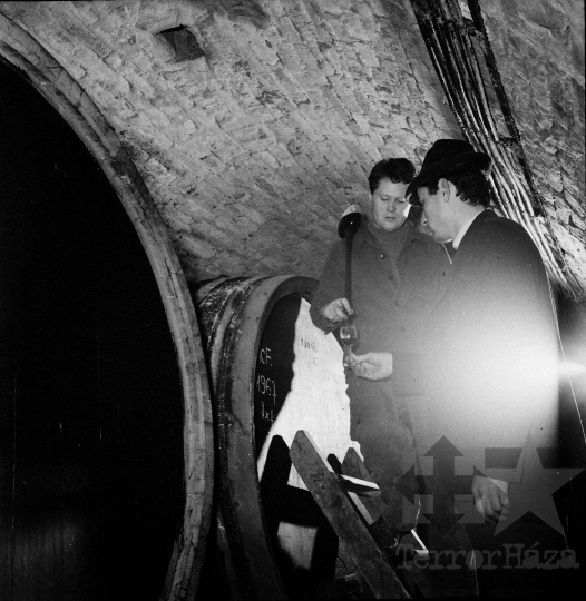 THM-BJ-10168 - Borászat a Szekszárdi Állami Gazdaságban az 1960-as években