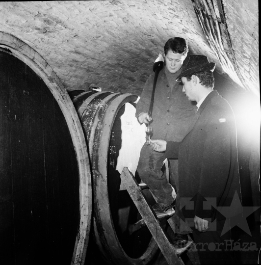 THM-BJ-10168a - Borászat a Szekszárdi Állami Gazdaságban az 1960-as években