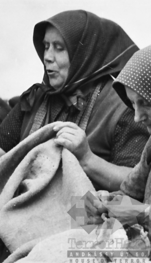 THM-BJ-10273 - Munka a szakcsi termelőszövetkezetben az 1960-as években