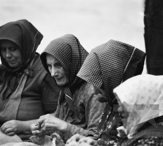 THM-BJ-10275 - Munka a szakcsi termelőszövetkezetben az 1960-as években