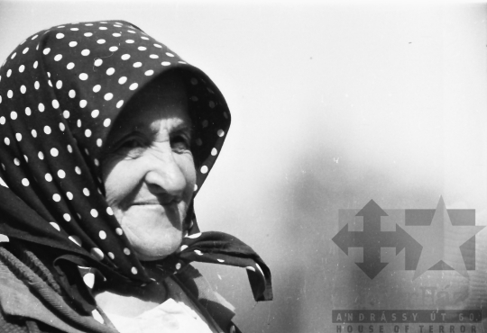 THM-BJ-10277 - Munka a szakcsi termelőszövetkezetben az 1960-as években