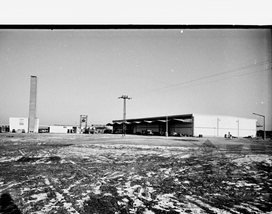 THM-BJ-10352 - Munka a mözsi szövetkezet hűtőházában az 1960-as években