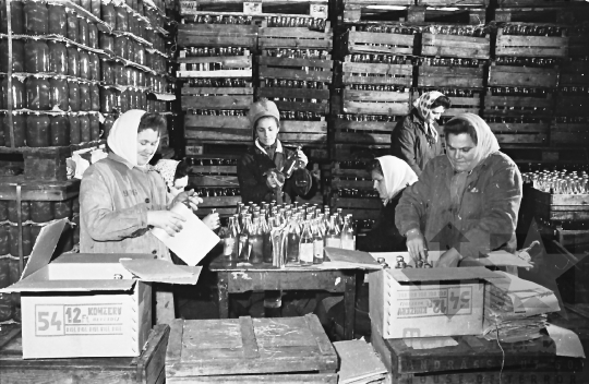 THM-BJ-10384 - Paksi konzervgyár az 1960-as években
