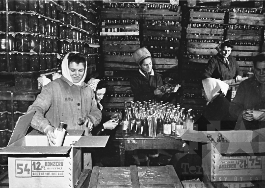 THM-BJ-10385 - Paksi konzervgyár az 1960-as években