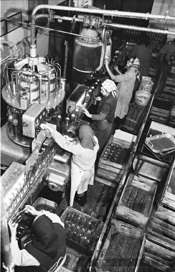 THM-BJ-10387 - Paksi konzervgyár az 1960-as években