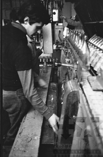 THM-BJ-10388 - Paksi konzervgyár az 1960-as években