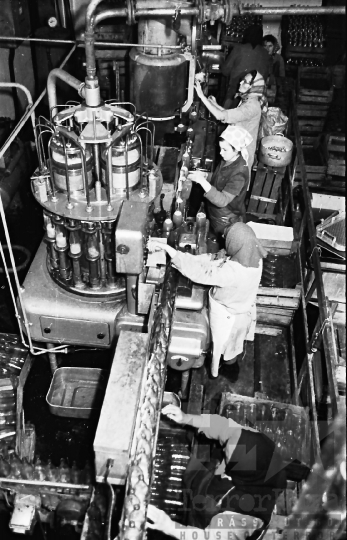 THM-BJ-10389 - Paksi konzervgyár az 1960-as években