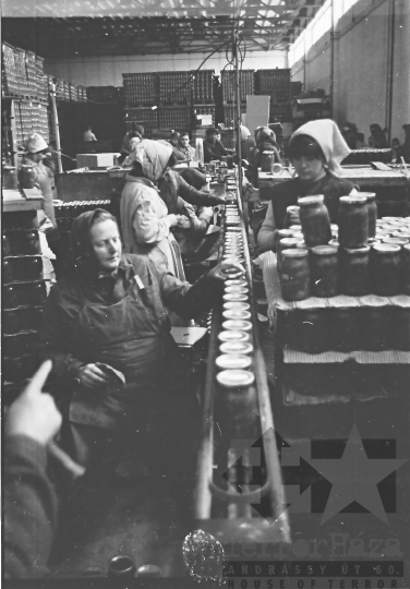 THM-BJ-10391 - Paksi konzervgyár az 1960-as években