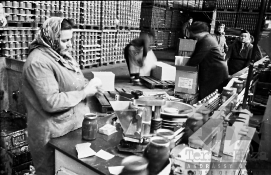 THM-BJ-10394 - Paksi konzervgyár az 1960-as években