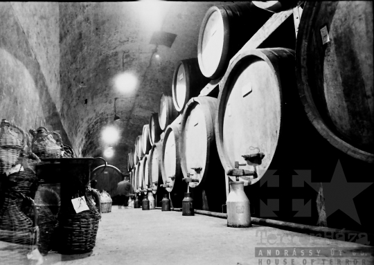 THM-BJ-10434 - Magyar Likőripari Vállalat Szekszárdon az 1960-as években