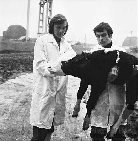 THM-BJ-10500 - Mezőgazdasági szakiskola Lengyelen az 1980-as években