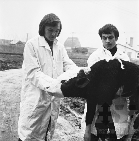 THM-BJ-10501 - Mezőgazdasági szakiskola Lengyelen az 1980-as években