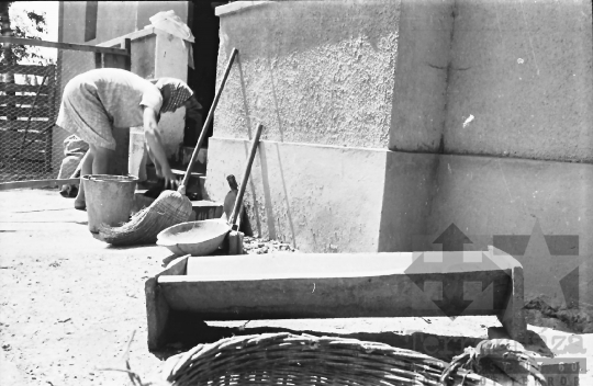 THM-BJ-10666 - Paksi állami gazdaság gerjeni kerülete az 1960-as években