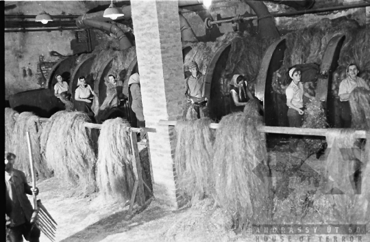 THM-BJ-10679 - Furkópusztai kendergyár az 1960-as években