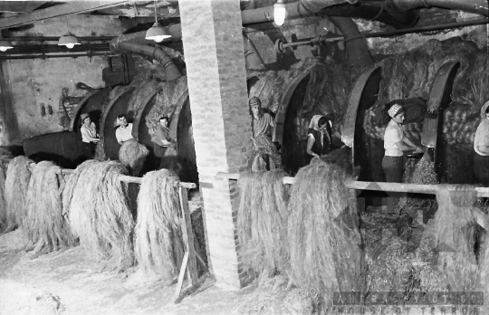 THM-BJ-10681 - Furkópusztai kendergyár az 1960-as években