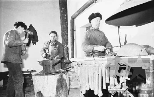 THM-BJ-10746 - Munka a bonyhádi termelőszövetkezetben az 1960-as években