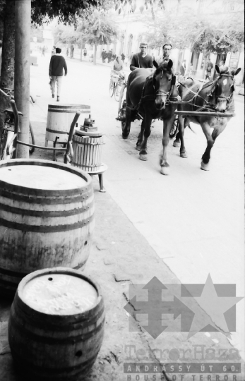 THM-BJ-10776 - Életkép Szekszárdon az 1960-as években