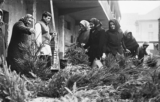 THM-BJ-10811 - Fenyőfavásár a szekszárdi piacon az 1960-as években