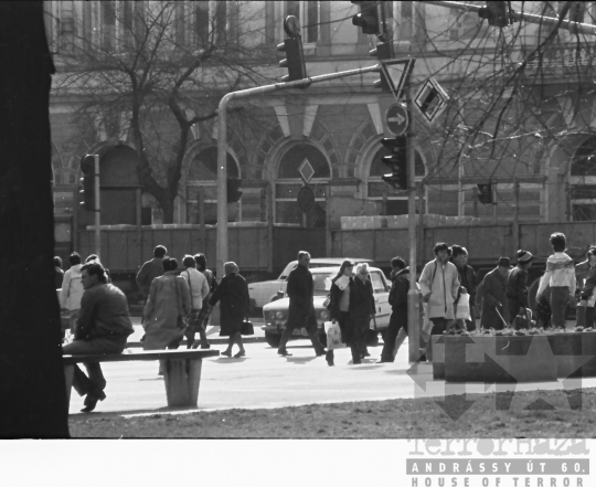 THM-BJ-11100 - Szekszárdi park az 1980-as években