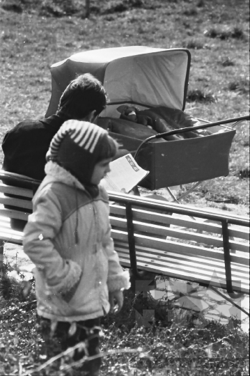 THM-BJ-11104 -  Szekszárdi park az 1980-as években