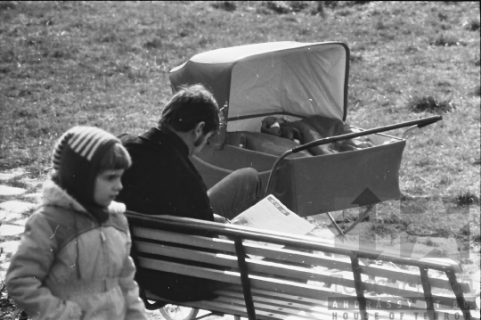 THM-BJ-11105 - Szekszárdi park az 1980-as években