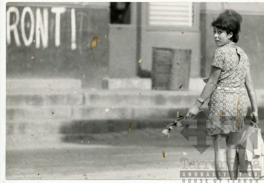 THM-BJ-11146 - Falfirka Dunaföldváron az 1960-as években