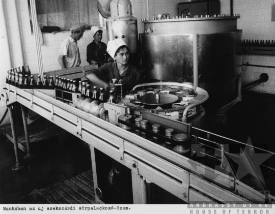 THM-BJ-11170 - Pannónia Sörgyár szekszárdi telephelye az 1960-as években