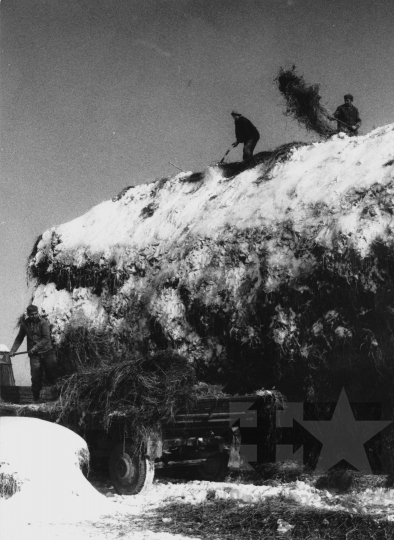 THM-BJ-11328 - Kazalrakók Nagykónyiban az 1970-es években