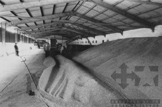THM-BJ-11440 - Nagyüzem aratás Bonyhádon az 1970-es években