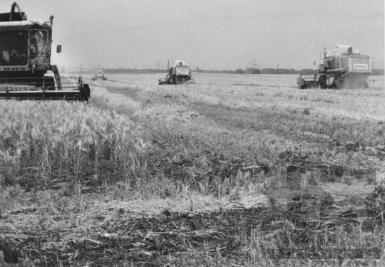THM-BJ-11458 - Aratás Szekszárdon az 1990-es években