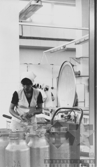 THM-BJ-11594 - Dombóvári tejüzem az 1980-as években