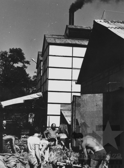 THM-BJ-11644 - Nagydorogi dohányszárító az 1960-as években