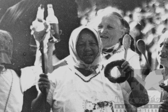 THM-BJ-11669 - Szüreti felvonulás Szekszárdon az 1970-es években