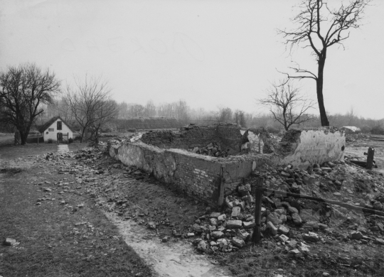 THM-BJ-11715 - Petőfi-méhes Borjádon az 1970-es években