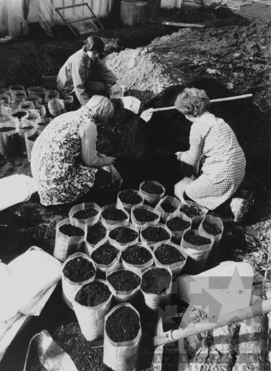 THM-BJ-11741 - Kertészet Kocsolán az 1980-as években